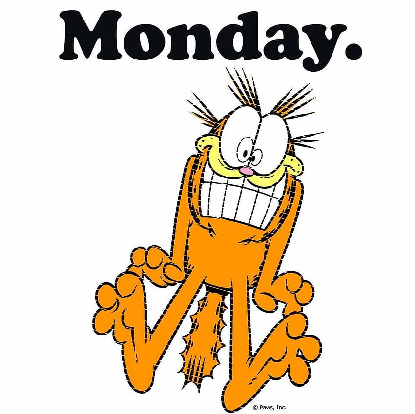 Mondays fry my brain. Monday humor, Garfield, Monday , Garfield I Hate Mondays HD wallpaper