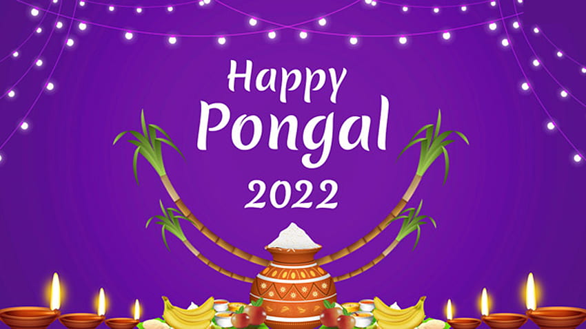 Happy Pongal 2022 Decoration Lights Purple Background Pongal HD wallpaper