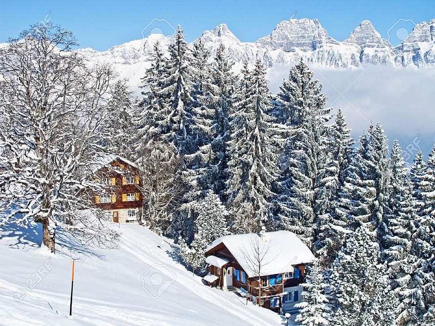 บ้านวันหยุดฤดูหนาวในเทือกเขาแอลป์สวิส ต้นสน หิมะ ภูมิทัศน์ สวิตเซอร์แลนด์ ภูเขา วอลล์เปเปอร์ HD