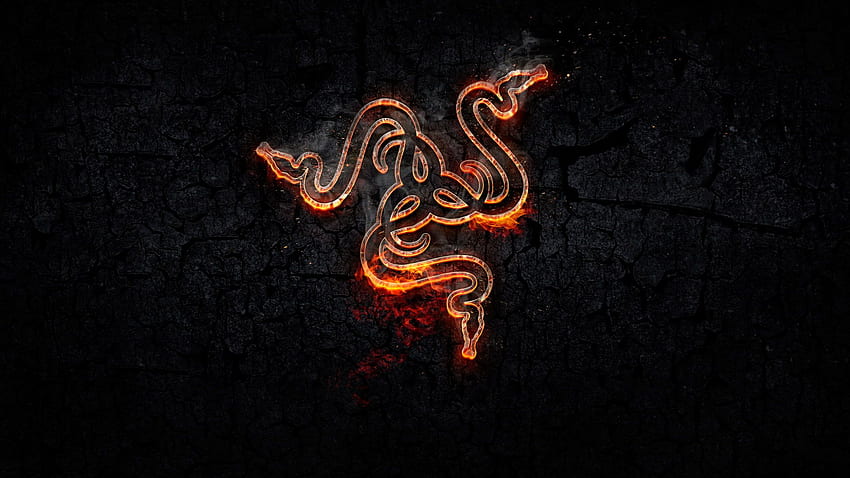 : Razer Inc., logo, snake, Gaming Series, orange HD wallpaper