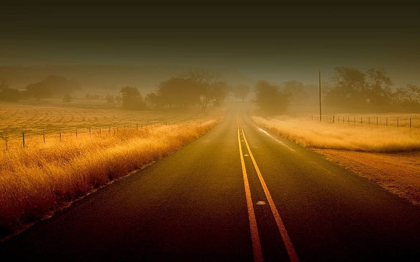 Road, Nature, Grass, Fields, Autumn, Fog, Asphalt, Lines, Stripes, Streaks, Unknown, Obscurity HD wallpaper