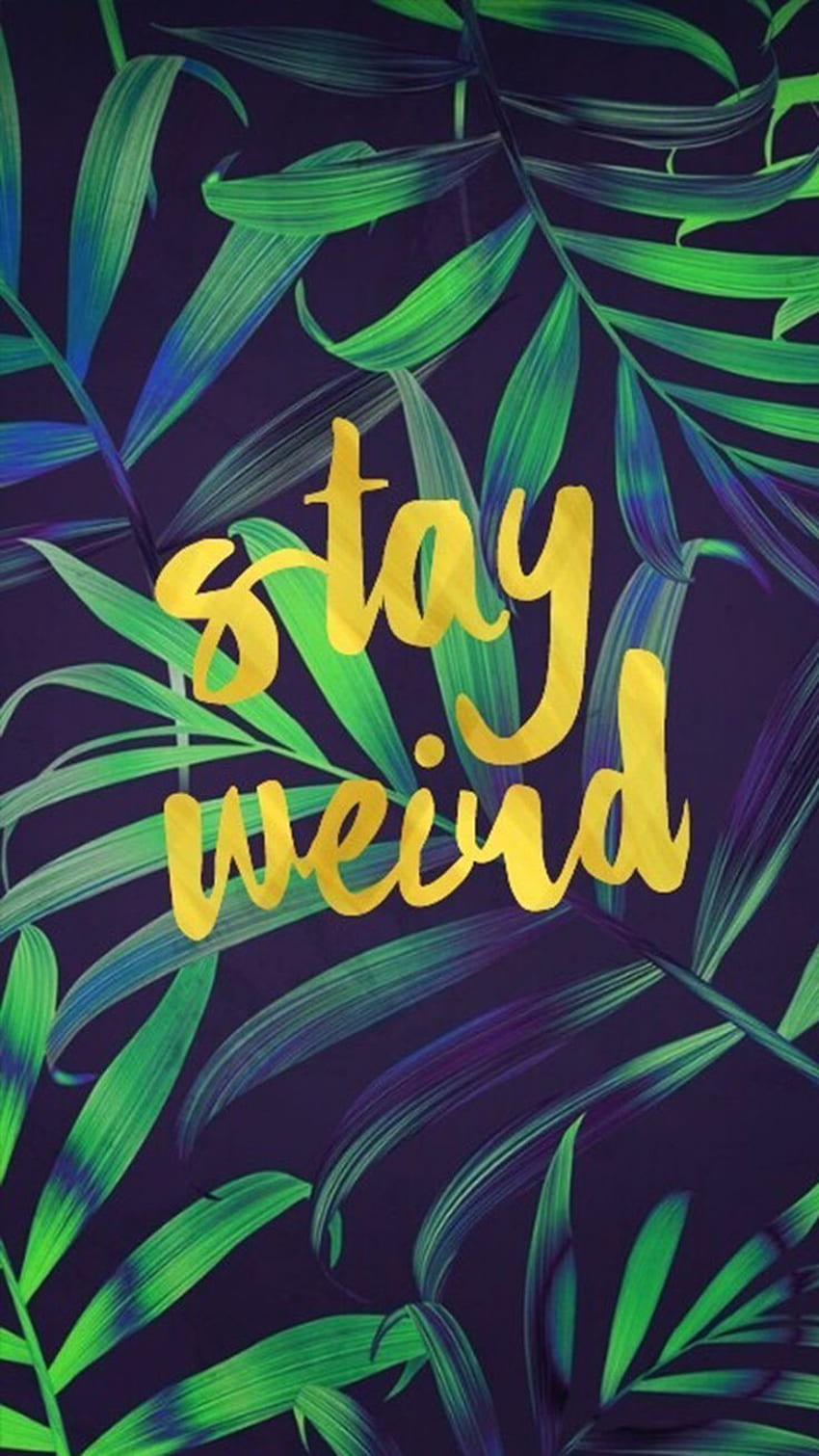 Premium Vector  Stay weird retro groovy illustration with hippie daisy  flowers and mushrooms trendy colorful slogan