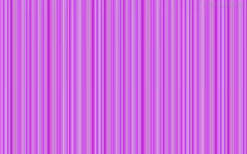 Lignes violettes, violettes, abstraites, lignes Fond d'écran HD