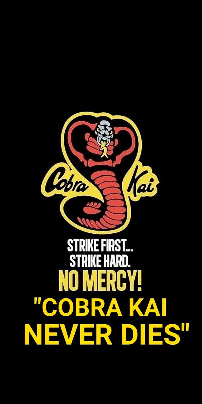 COBRA KAI NEVER DIES in 2020. Cobra kai , Karate kid cobra kai, Cobra kai dojo HD phone wallpaper