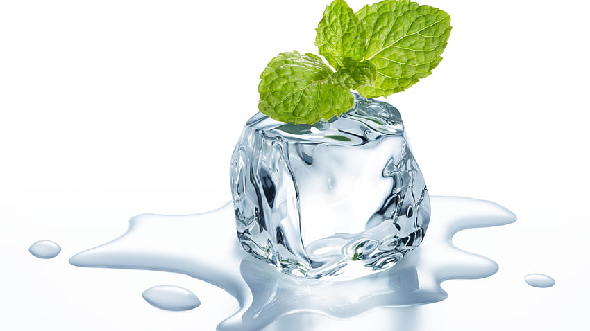 Ice cube, mint leaves, water, white background U HD wallpaper