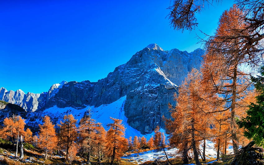 *** SLOVENIA-Kranjska Gora ***, autumns, snow, trees, sky, nature, mountains HD wallpaper