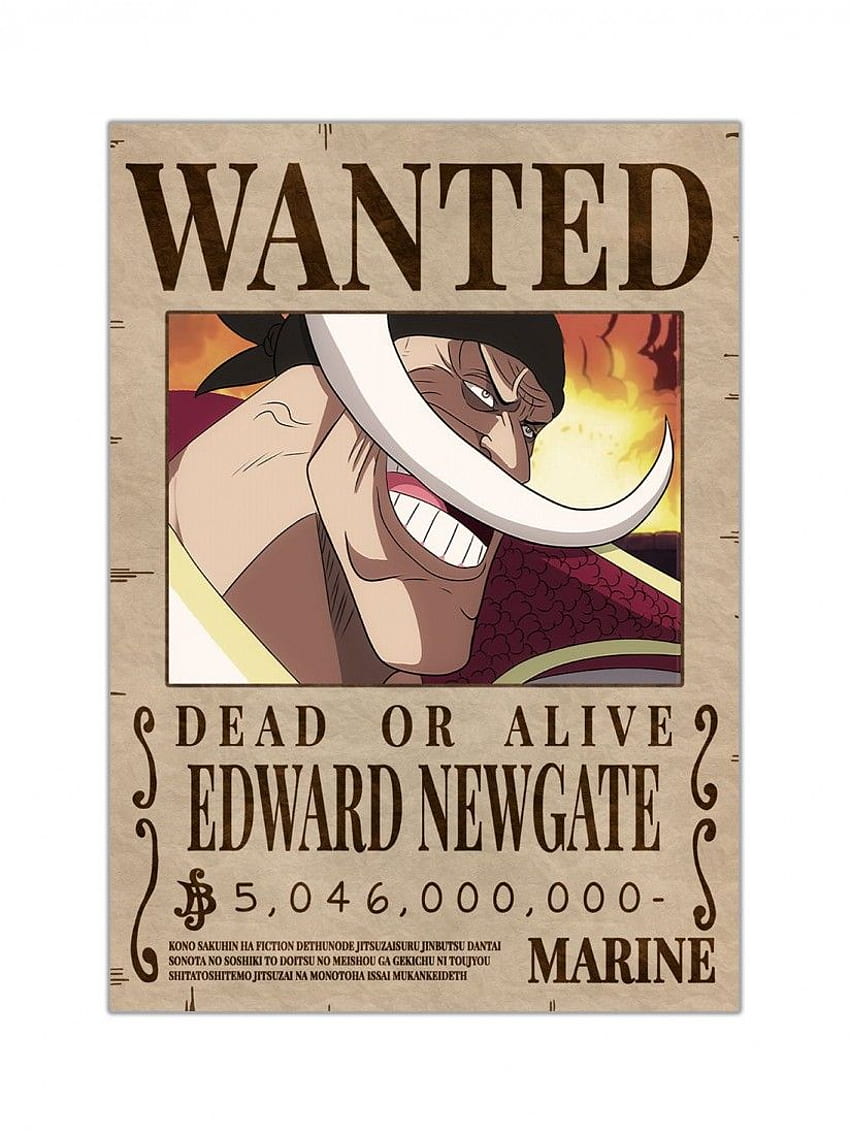 Premium Vector | One piece anime wanted poster