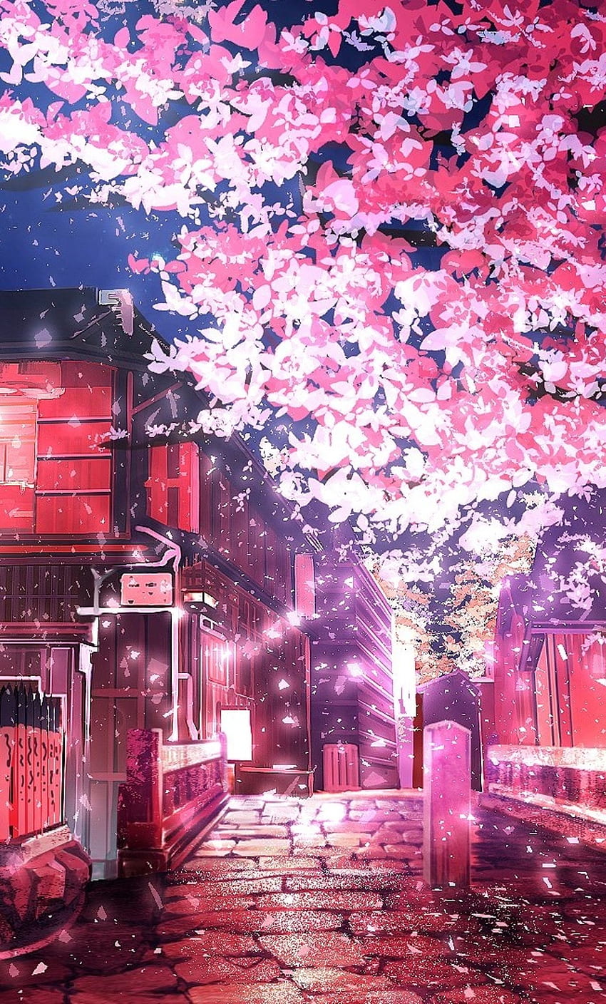 Cherry Tree Anime iPhone, e Anime Sakura Blossom Sfondo del telefono HD