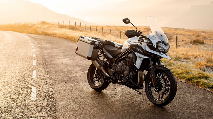 Triumph Releases Two Special Edition 1200 Tigers For 2020 HD wallpaper