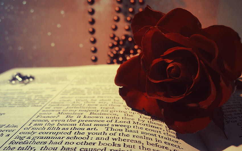 książka, róża, czerwony, bordowy, kwiat, koraliki, makro, bokeh, bordowy Tapeta HD