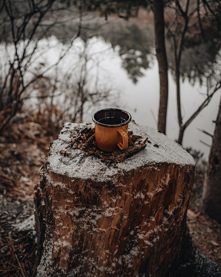 Nature, Snow, , , Cup, Stump, Mug HD phone wallpaper