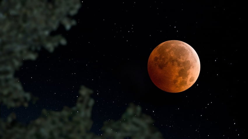 Lunar Eclipse, star, sky, moon, lunar HD wallpaper