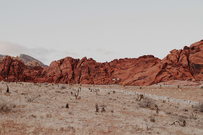 Красива пустиня за iPhone - Red Rock Canyon, Desert Aesthetic HD тапет