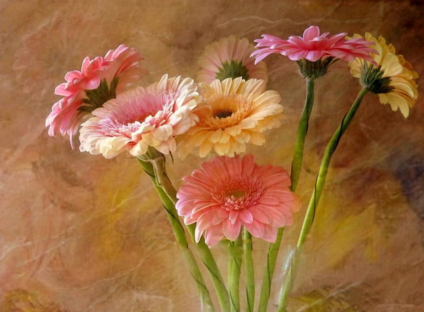 Stillleben, Blumenstrauß, weich, Vase, schön, nett, zart, Gerbera, zart, Malerei, hübsch, Blumen, lieblich HD-Hintergrundbild