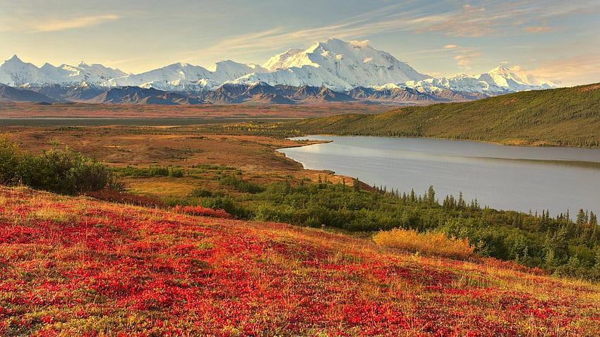 アラスカの畑、植物、アラスカ、草、山、湖、畑、緑、赤、雲、自然、空、水 高画質の壁紙