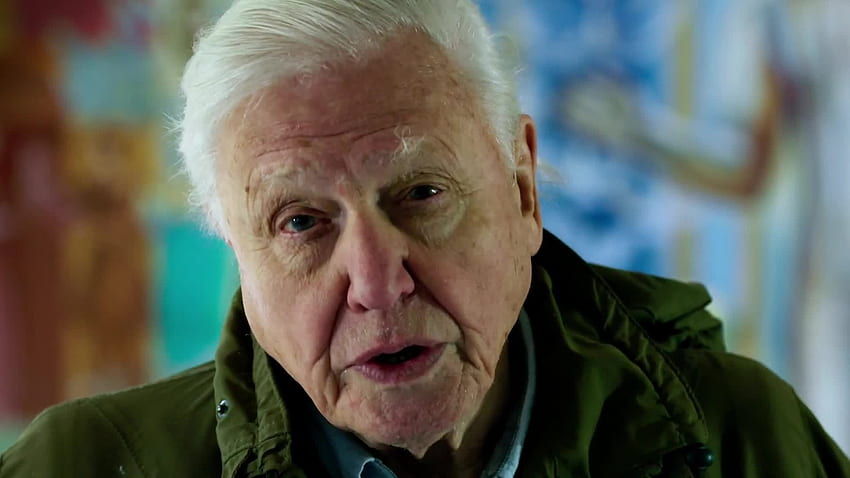 Human beings have overrun the world' says Sir David Attenborough in new film, David Attenborough: A Life On Our Planet HD wallpaper