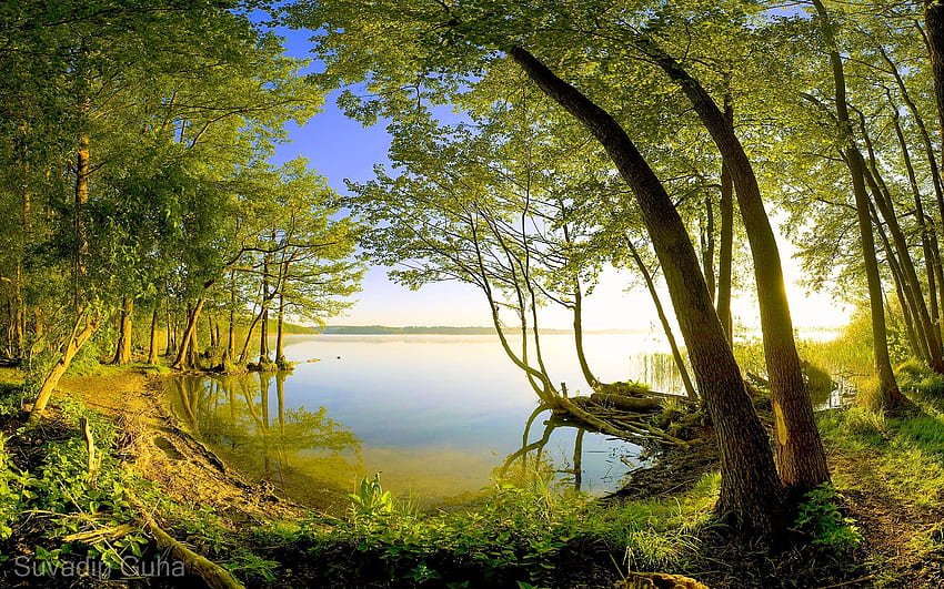 . Bosque, lago, árboles verdes, filtro CPL, gran angular. Picopx fondo de pantalla