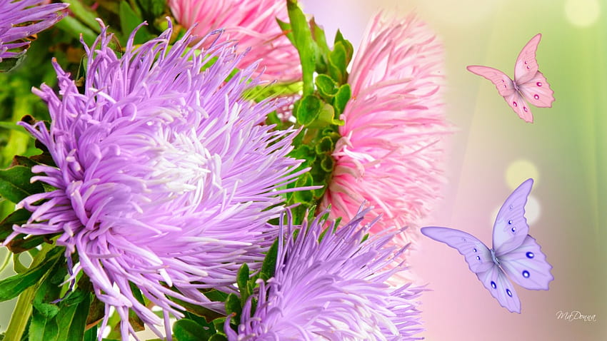 花の群れ、パステル、パピヨン、ソフト、春、夏、紫、蝶、ピンク、ラベンダー、花、香り 高画質の壁紙