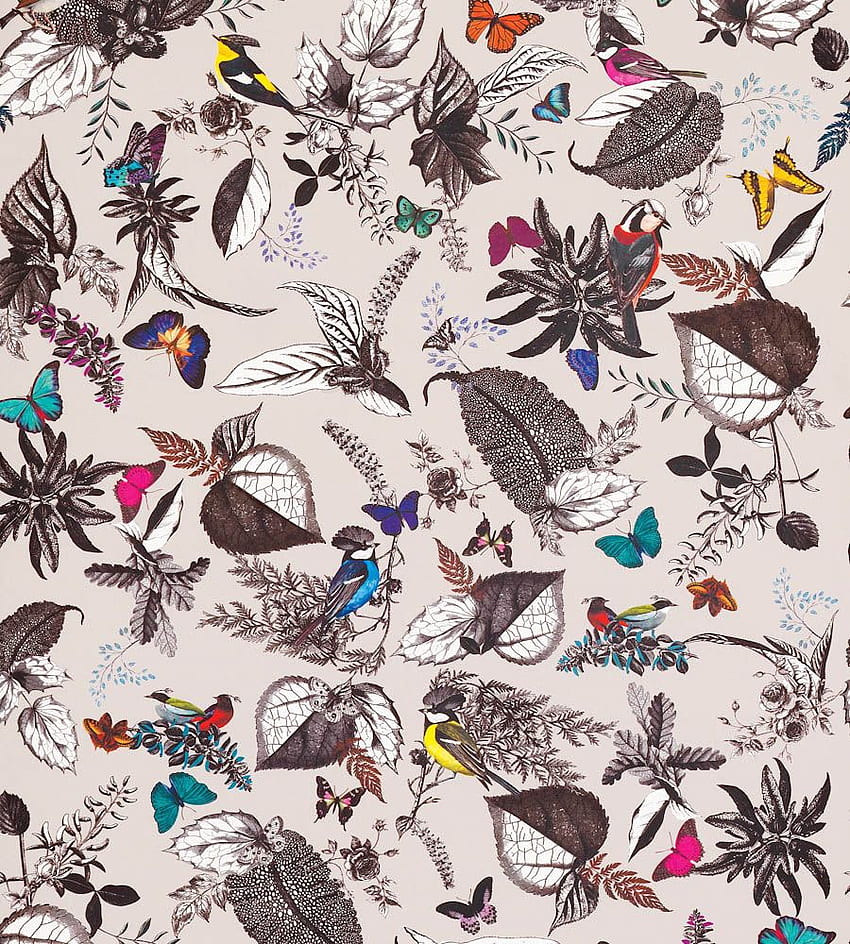 Osborne & Little - 鳥の歌、鳥のパターン HD電話の壁紙