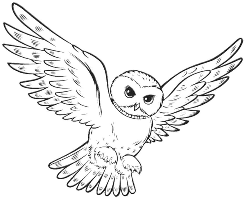 Premium Vector | Hand drawn solid color owl illustration