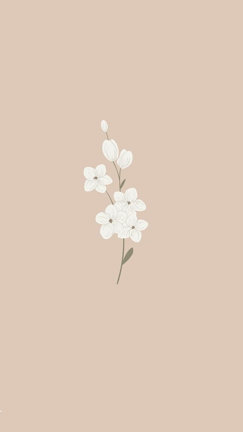 Vintage Flower, Cute Aesthetic Flower HD phone wallpaper | Pxfuel