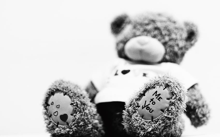 ตุ๊กตาหมี, เบ็ดเตล็ด, เบ็ดเตล็ด, หมี, ของเล่น, ตุ๊กตา, นุ่ม วอลล์เปเปอร์ HD