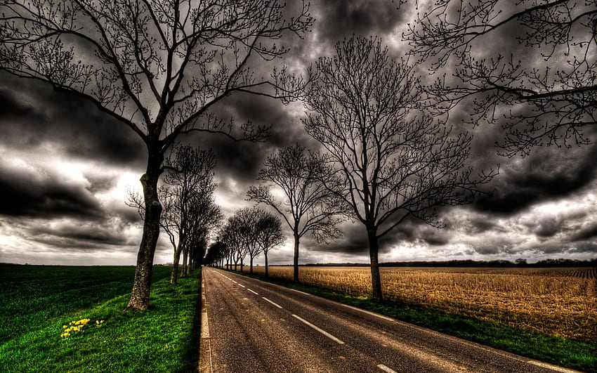 chemin, wds, paysage, nuages, arbres, ciel, orage Fond d'écran HD