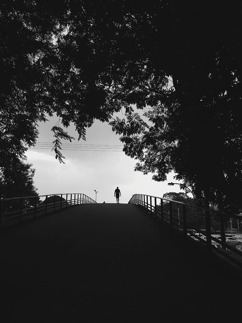 Alone, Trees, Silhouette, Stroll, Bw, Chb, Loneliness, Lonely HD phone wallpaper