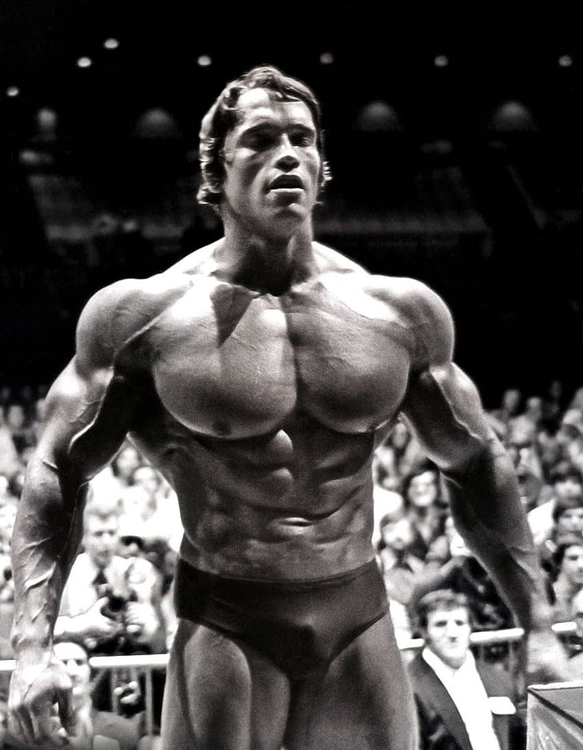 Arnold Schwarzenegger โพสท่าบนเวที - Arnold Schwarzenegger Prime Bodybuilding - & พื้นหลัง วอลล์เปเปอร์โทรศัพท์ HD