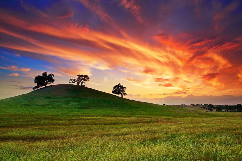Spring, Nature, Trees, Sunset, Grass, Sky, Clouds, Usa, Field, United States, California, May HD wallpaper