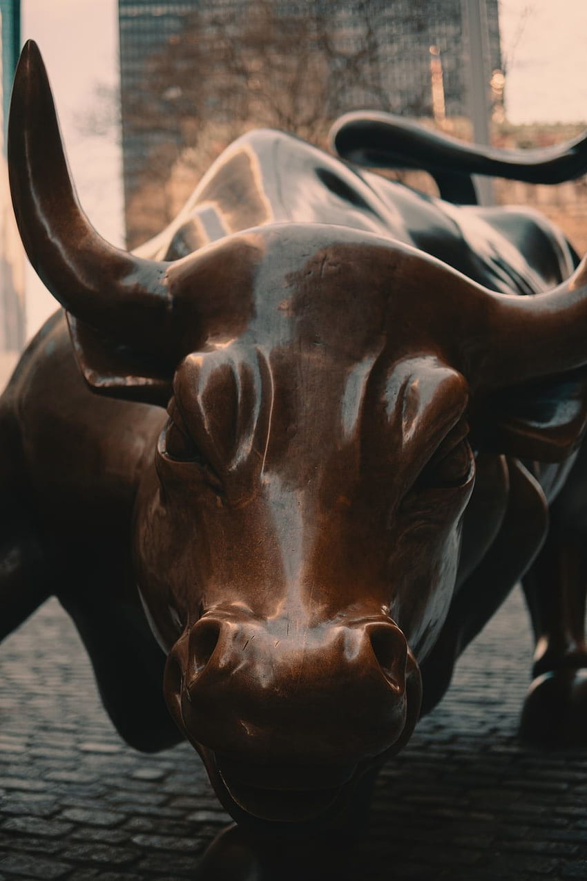 Stock Market []. & Stock on Unsplash, Bull and Bear HD phone wallpaper |  Pxfuel