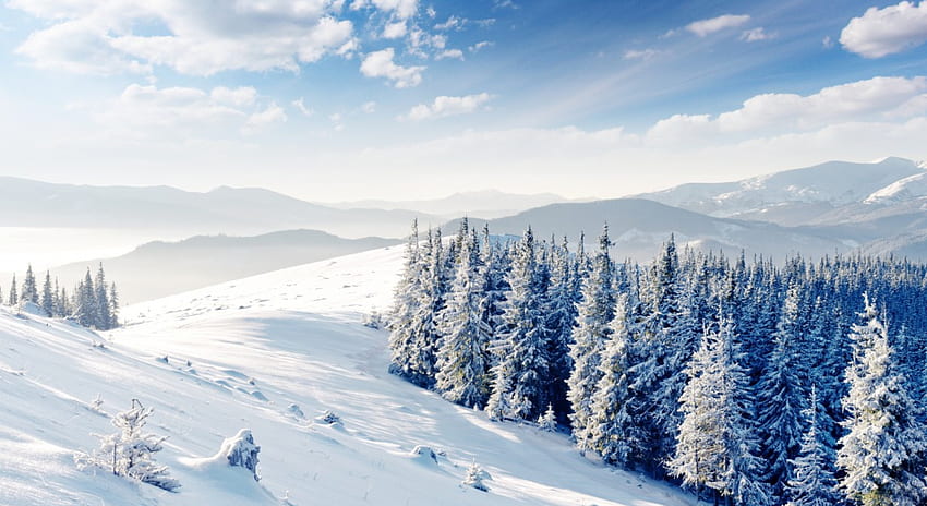 Winter, winter splendor, peaceful, beauty, snowflakes, snow, trees, mountains, winter time, magic winter, hill, hills, snowy, magic, landscape, beautiful, tree, view, clouds, nature, sky, lovely, splendor HD wallpaper