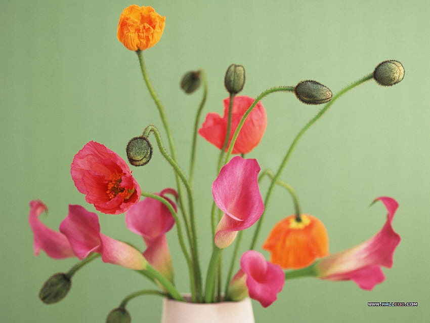 Still life, bouquet, pretty, flower, green, nature HD wallpaper