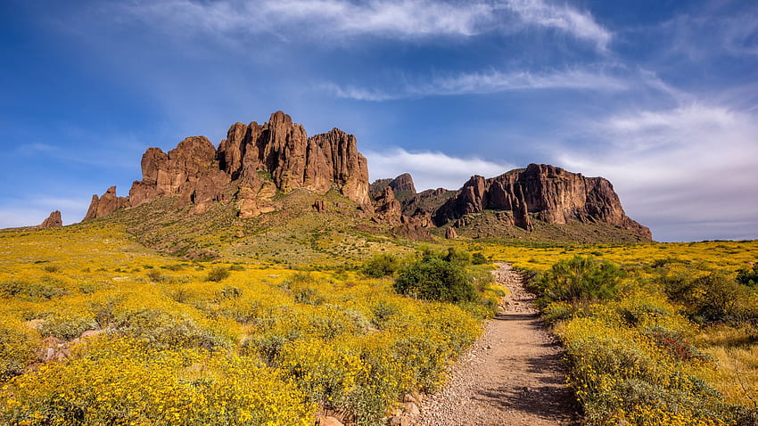 Arizona, Superstition Mountains, path, wildflowers, clouds, landscape, sky, spring, rocks HD wallpaper