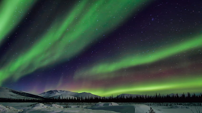 hermosas auroras boreales sobre el paisaje invernal de alskan, invierno, estrellas, montañas, auroras boreales fondo de pantalla