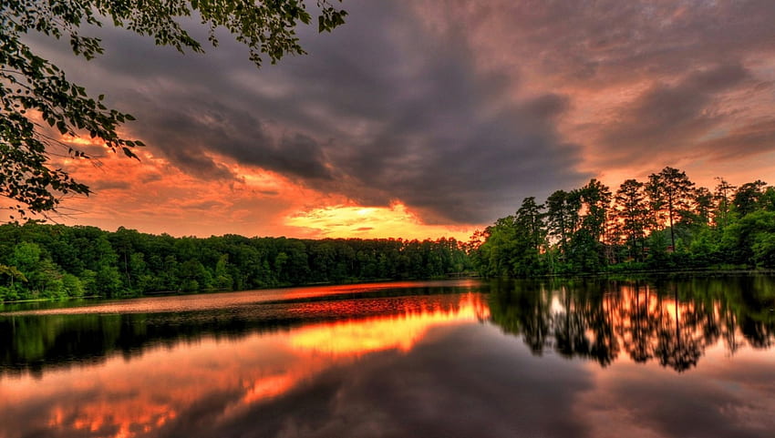 wonderful sunset, clouds, river, forest, sunset HD wallpaper