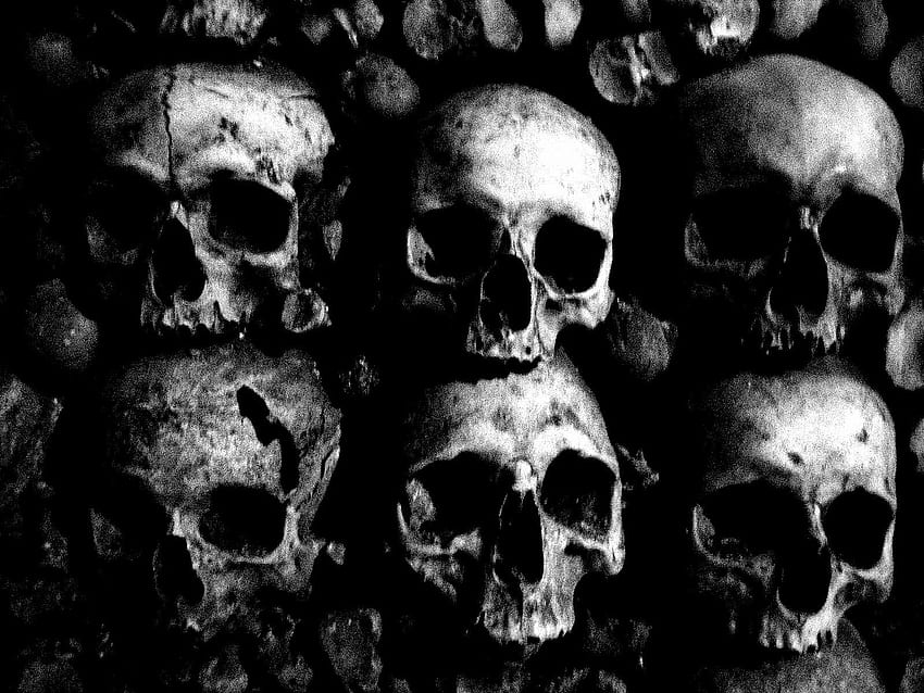 Aesthetic Background Black Aesthetic Skull, Skeleton Aesthetic Tumblr HD wallpaper