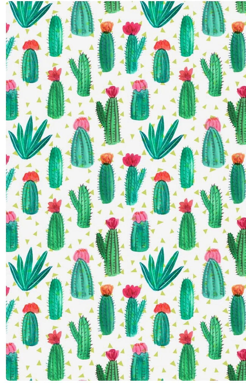 Cactus sirface pattern - prickly HD phone wallpaper