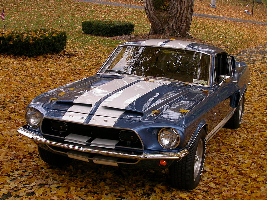 1968 Shelby G.T.350, classic, muscle, car, mustang, shelby HD wallpaper