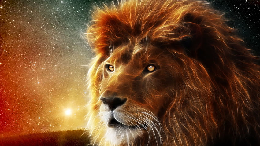 Lion . Lion , Lion, Brave Lion HD wallpaper