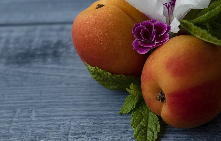 bunga, latar belakang, aprikot untuk , bagian еда - Wallpaper HD