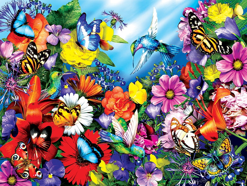 Jardin, coloré, art, oiseau, colibri, été, papillon, fleur, colibri, vara Fond d'écran HD