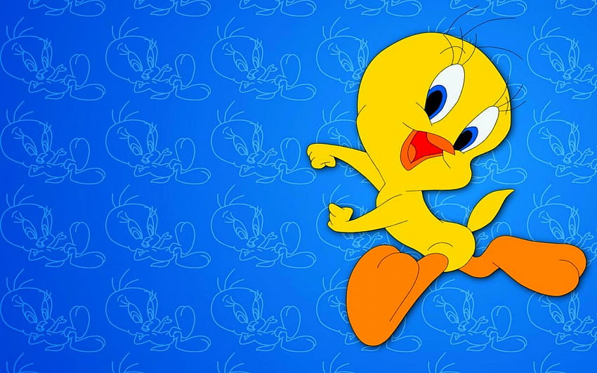 Cartoon Tweety Bird, Cute Tweety Bird HD wallpaper