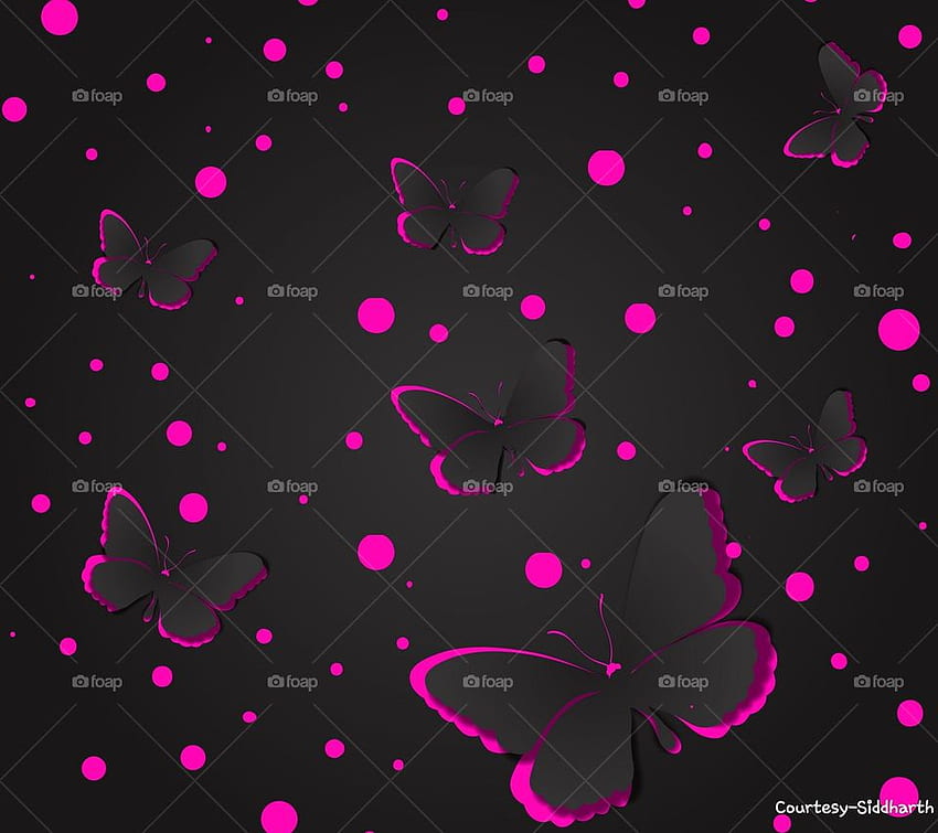 Butterfly, glowing butterflies, neon pink, night HD wallpaper