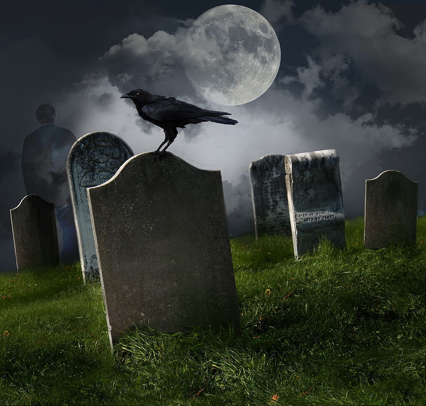 Yeele ft 할로윈 묘지 배경 어두운 밤 그래피 배경에서 보름달이 있는 묘지 게이트 할로윈 이브 파티 아이 성인 연기 쇼 후트 스튜디오 소품 비닐 스튜디오 배경 비디오 스튜디오, 유령의 묘지 HD 월페이퍼