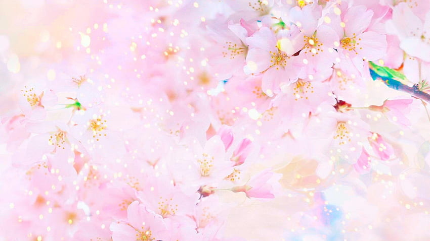 Sakura , Earth, Spring, Blossom, Pastel, Pink, Sunny, flower • For You For & Mobile, Pastel Flowers HD wallpaper
