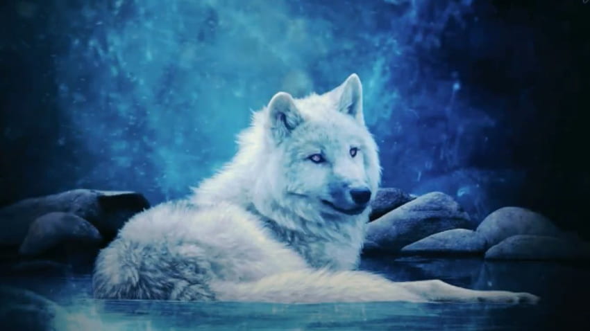 Wolf Background , Neon Blue Wolf HD wallpaper