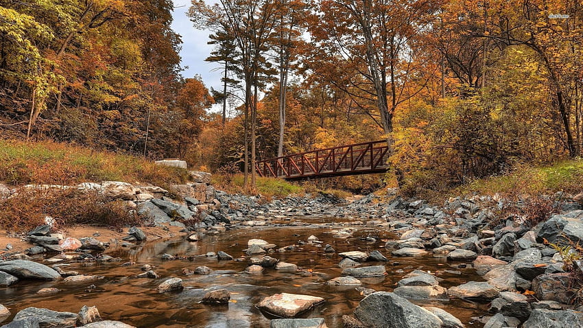 Piccolo ponte di legno sopra un ruscello roccioso, rocce, erba, ponte, ruscello, alberi, ponte di legno, fiume Sfondo HD