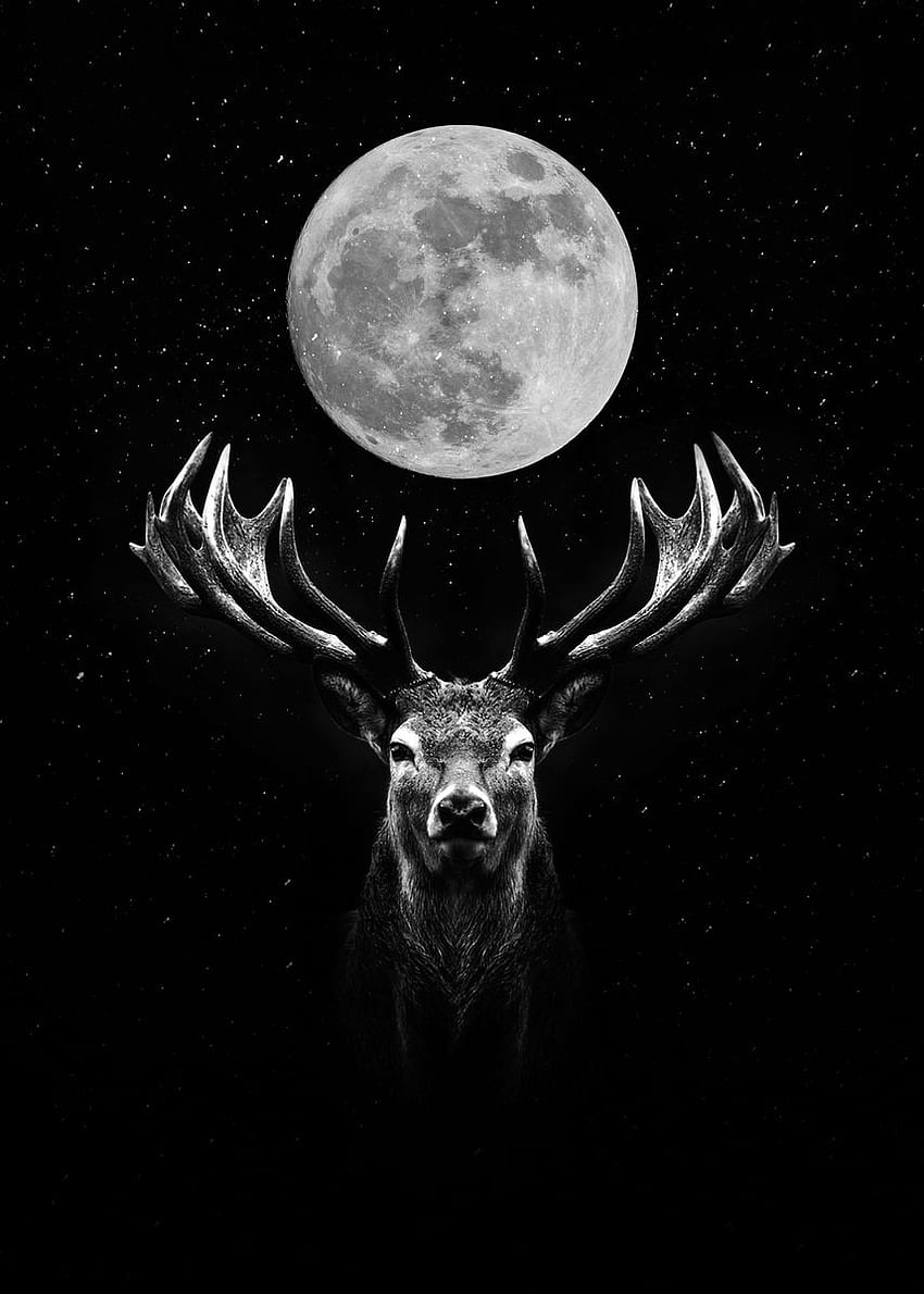 Moon Deer ' Metal Poster Baskı, Kara Geyik HD telefon duvar kağıdı