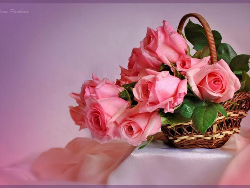 Korb mit rosa Rosen, rosa Rosen, Korb, Stillleben, Blumen HD-Hintergrundbild